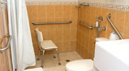 Accessible shower