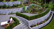 Terraced landscape