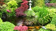 Japanese garden